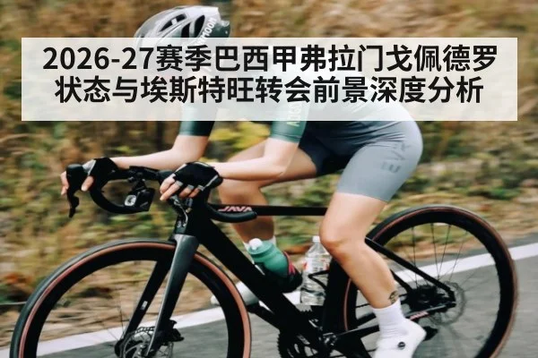 2026-27赛季巴西甲弗拉门戈佩德罗状态与埃斯特旺转会前景深度分析