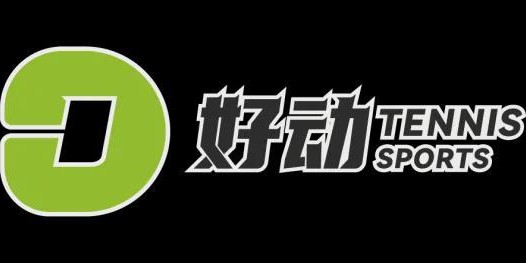 罗德拉沃尔上空最璀璨的烟花 献给罗杰费德勒 致我们终将逝去的青春